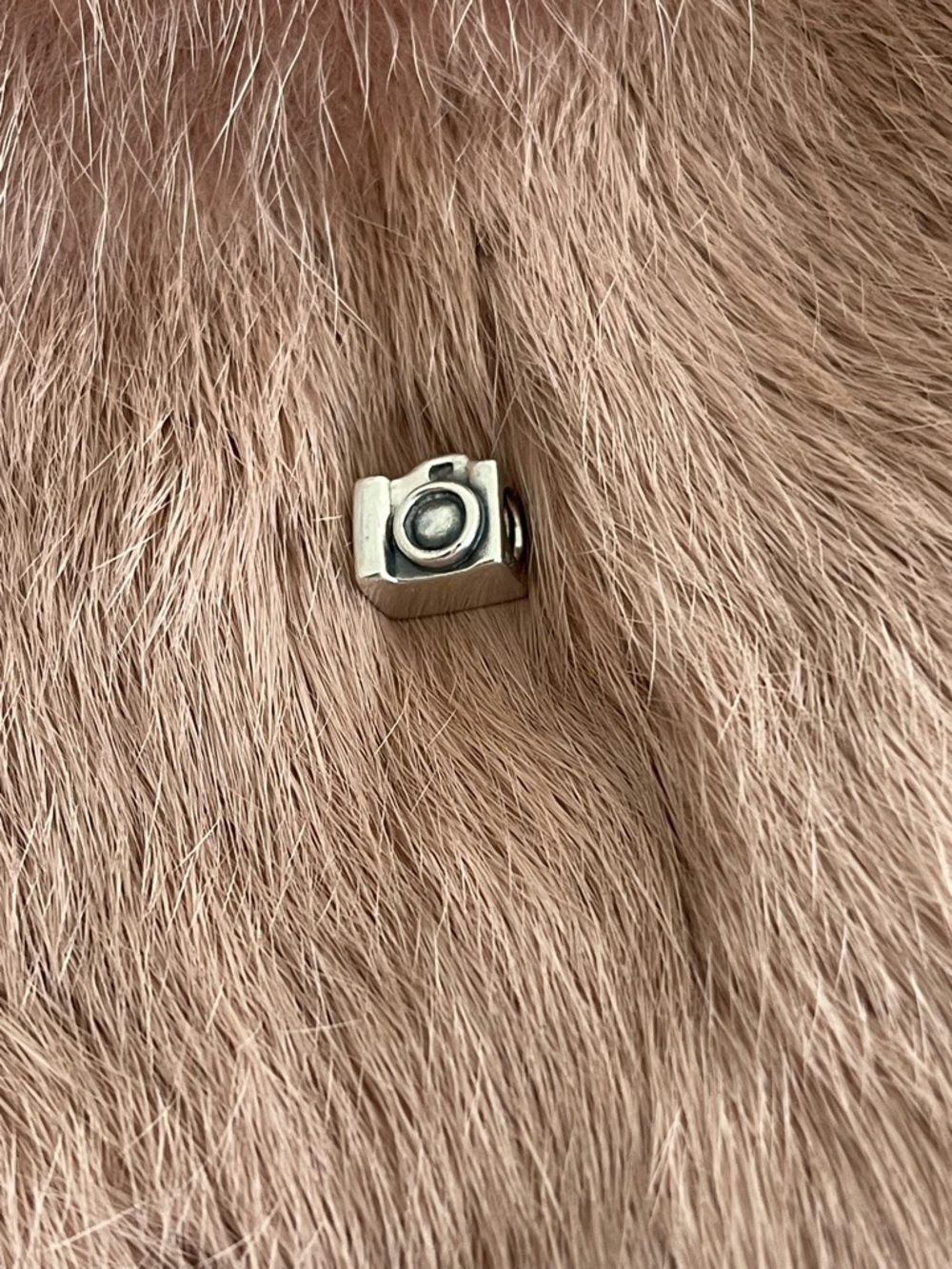 PANDORA “RETIRED “ Camera Charm